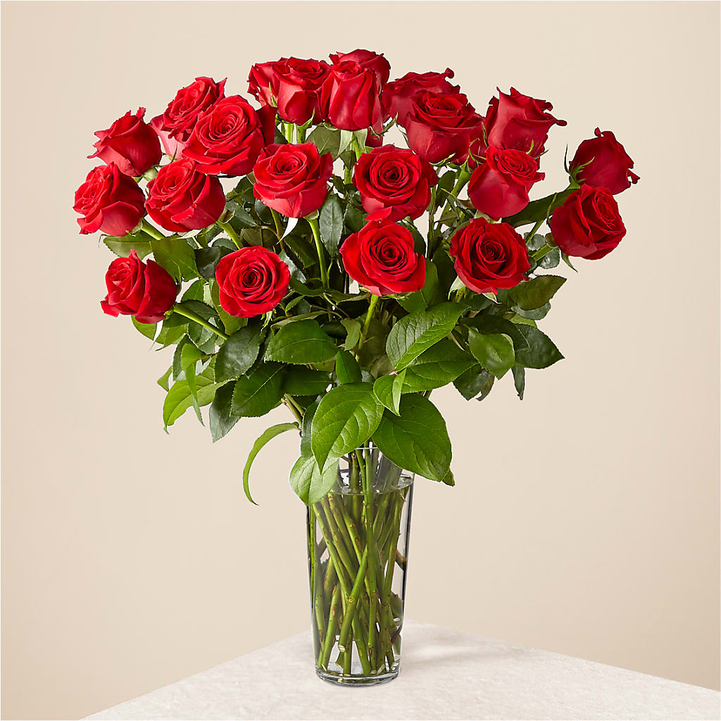 Long Stem Red Rose Bouquet – Kay Penny Florist, Hamilton ON