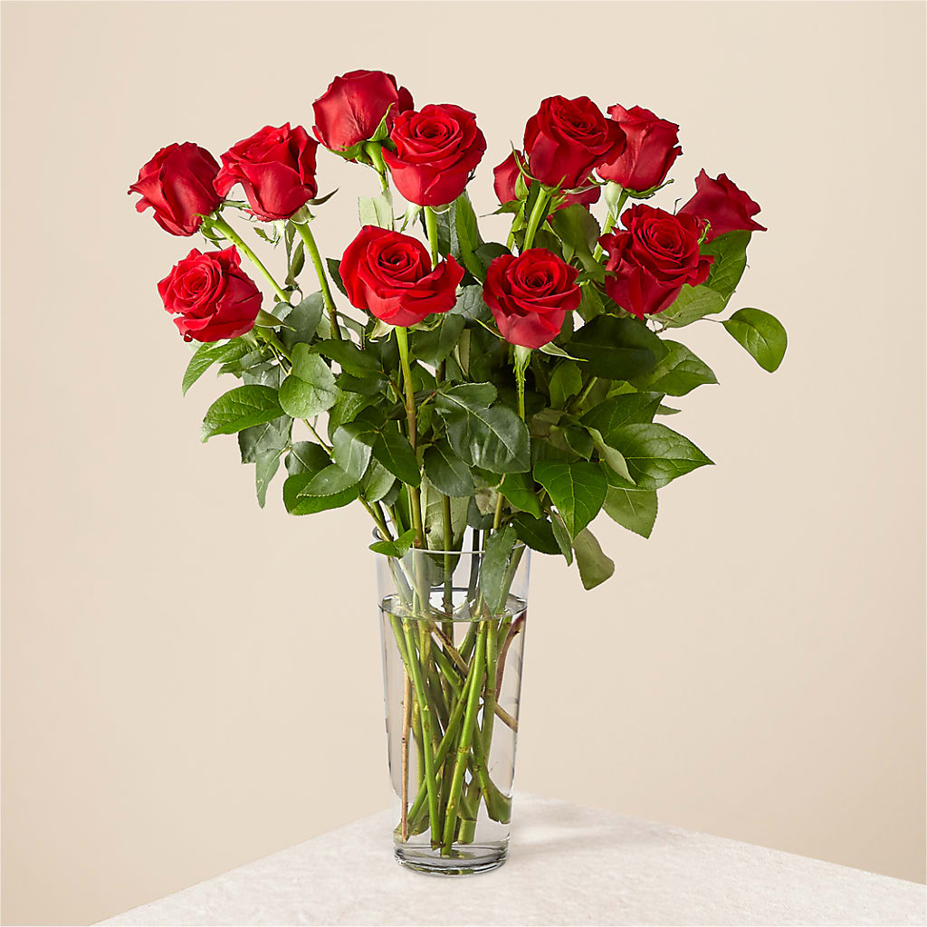 Long Stem Red Rose Bouquet – Kay Penny Florist, Hamilton ON