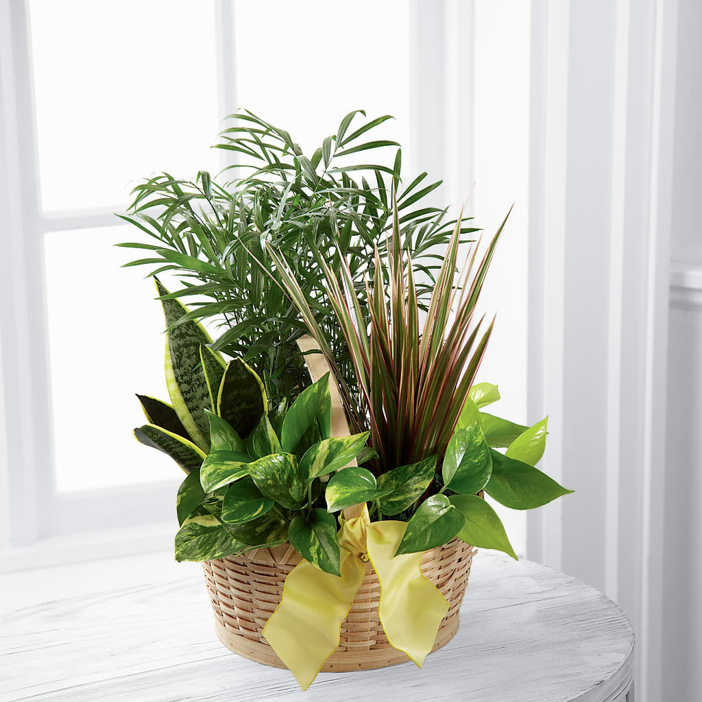 French Garden – Kay Penny Florist, Hamilton ON