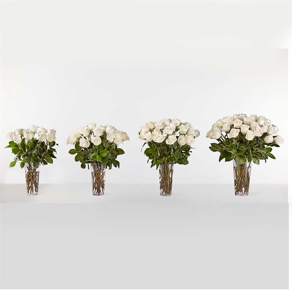 Long Stem White Rose Bouquet – Kay Penny Florist, Hamilton ON
