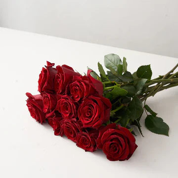 Long Stem Red Roses Wrapped – Kay Penny Florist, Hamilton ON