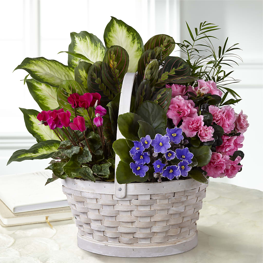 Peaceful Garden Planter – Kay Penny Florist, Hamilton ON