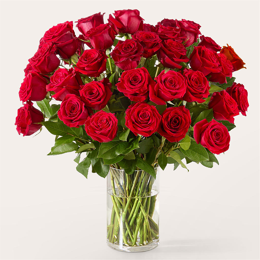 The One Red Rose Bouquet – Kay Penny Florist, Hamilton ON