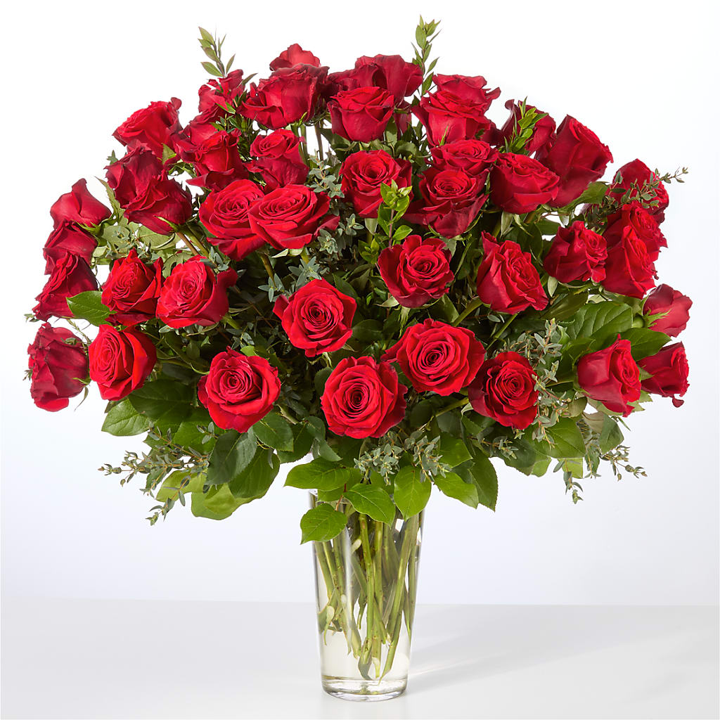 Forever Yours Fifty Stem Red Rose Bouquet – Kay Penny Florist, Hamilton ON