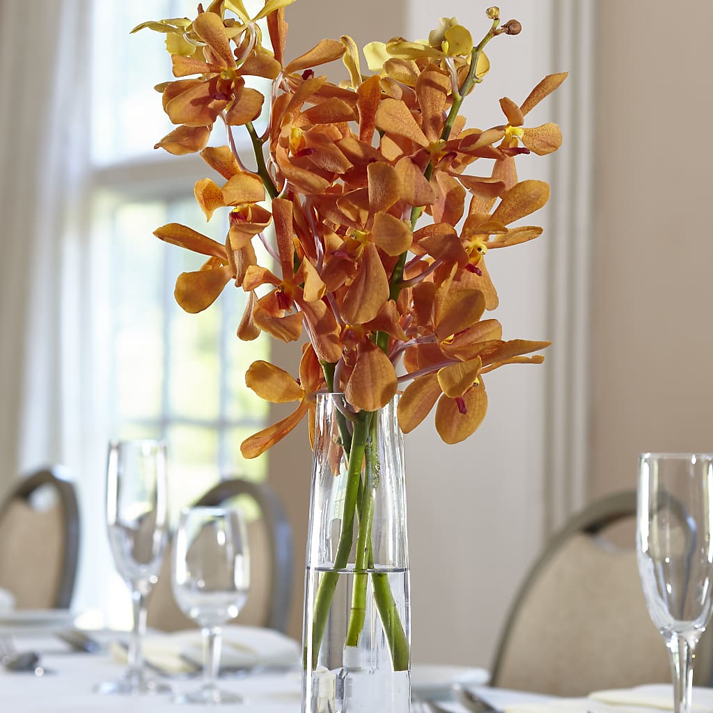 Orange Mokara Bud Vase – Kay Penny Florist, Hamilton ON