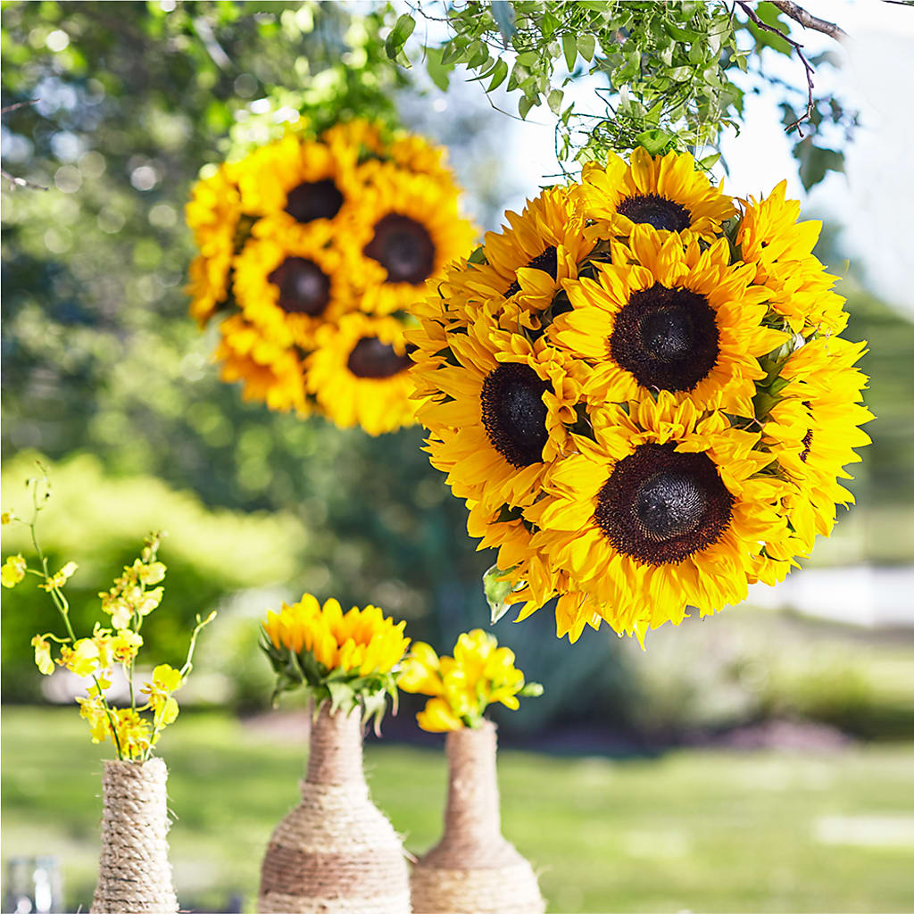 Sublime Garden Hanging Arrangement – Kay Penny Florist, Hamilton ON