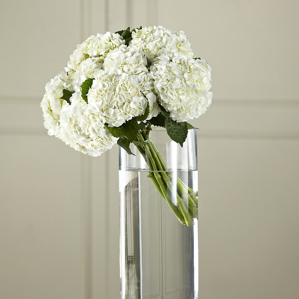 White Hydrangea Hand-Tied Bouquet – Kay Penny Florist, Hamilton ON