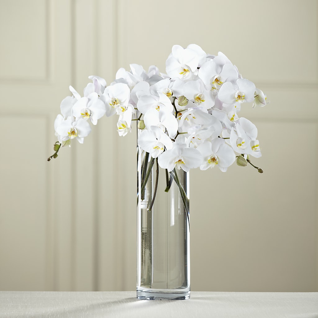White Phalaenopsis Bouquet – Kay Penny Florist, Hamilton ON