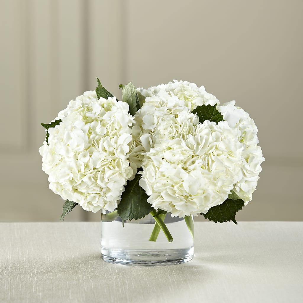 White Hydrangea Bouquet – Kay Penny Florist, Hamilton ON