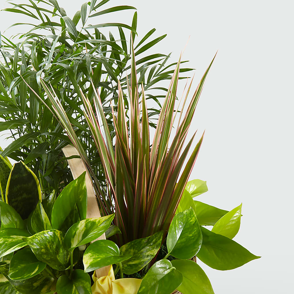 French Garden –  Kay Penny Florist, Hamilton ON
