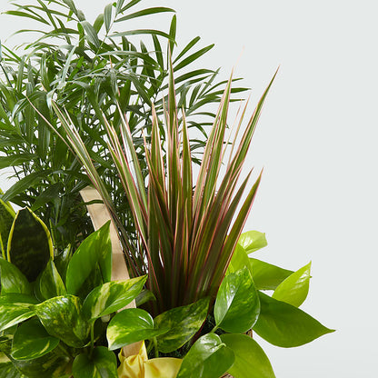 French Garden –  Kay Penny Florist, Hamilton ON