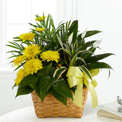 Loving Light Dishgarden –  Kay Penny Florist, Hamilton ON