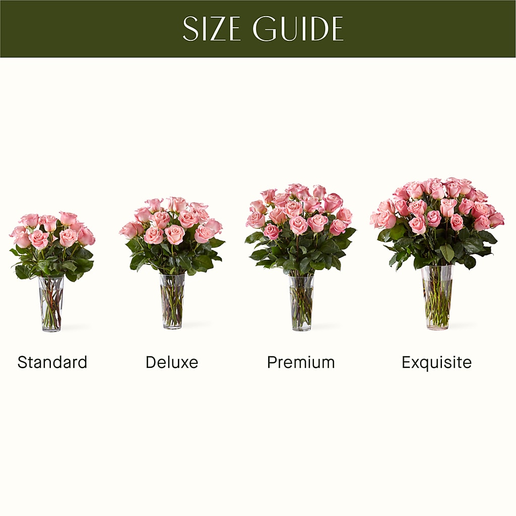 Long Stem Pink Rose Bouquet –  Kay Penny Florist, Hamilton ON