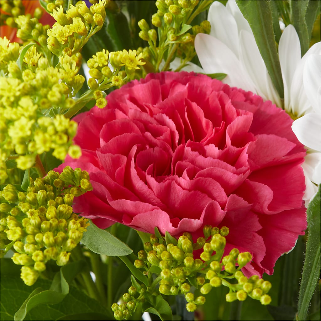 Oopsie Daisy Bouquet –  Kay Penny Florist, Hamilton ON