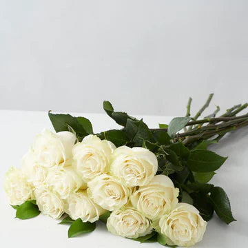 Long Stem White Roses
