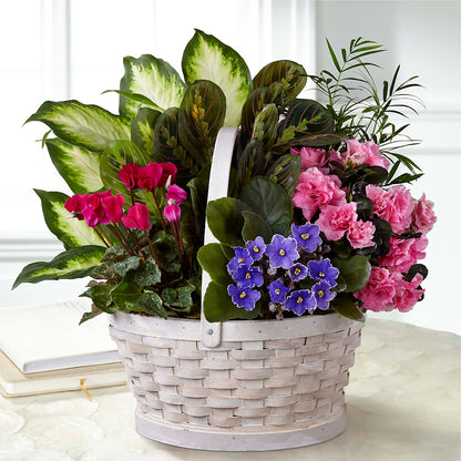 Peaceful Garden Planter –  Kay Penny Florist, Hamilton ON