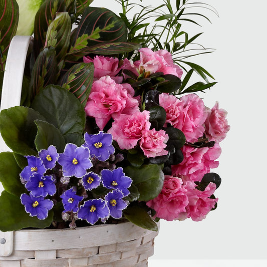 Peaceful Garden Planter –  Kay Penny Florist, Hamilton ON