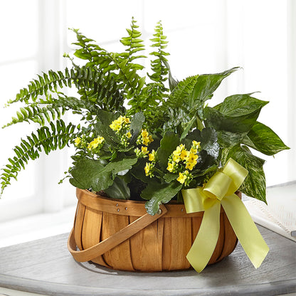 Always Dear Dishgarden –  Kay Penny Florist, Hamilton ON