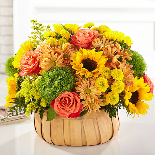Harvest Sunflower Basket –  Kay Penny Florist, Hamilton ON