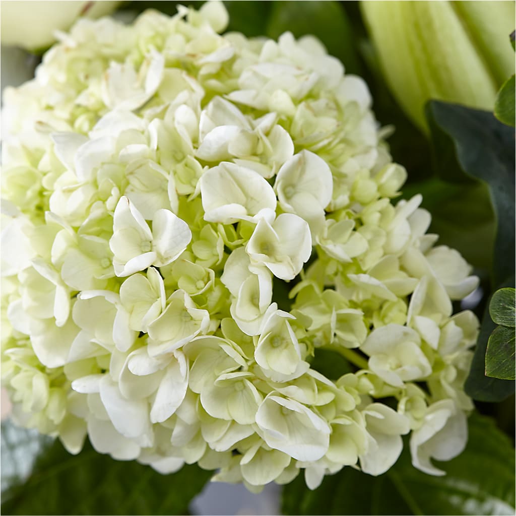 Classic Ivory – A Florist Original –  Kay Penny Florist, Hamilton ON