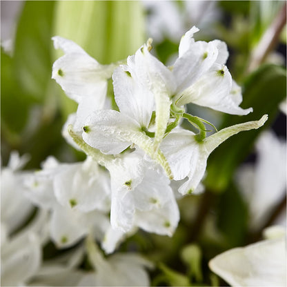 Classic Ivory – A Florist Original –  Kay Penny Florist, Hamilton ON
