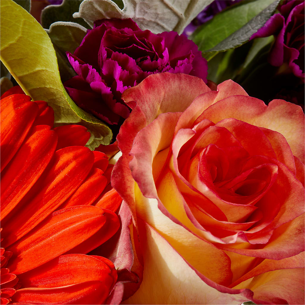 Sangria Bouquet –  Kay Penny Florist, Hamilton ON
