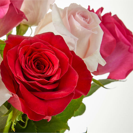 Charming Rose Bouquet –  Kay Penny Florist, Hamilton ON