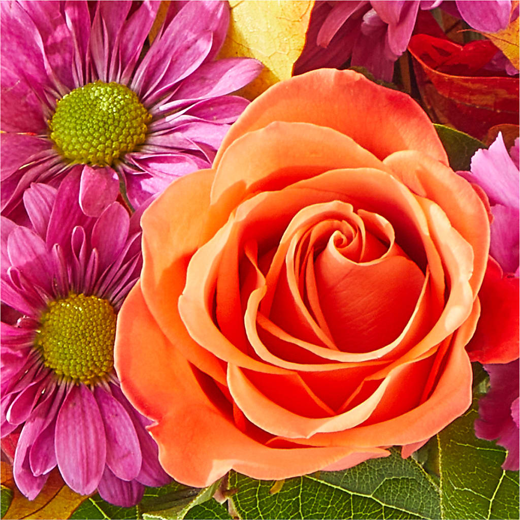 Mum's the Word Bouquet –  Kay Penny Florist, Hamilton ON