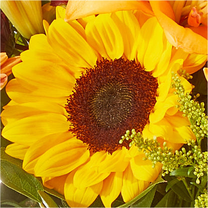 Seasons Change Bouquet –  Kay Penny Florist, Hamilton ON