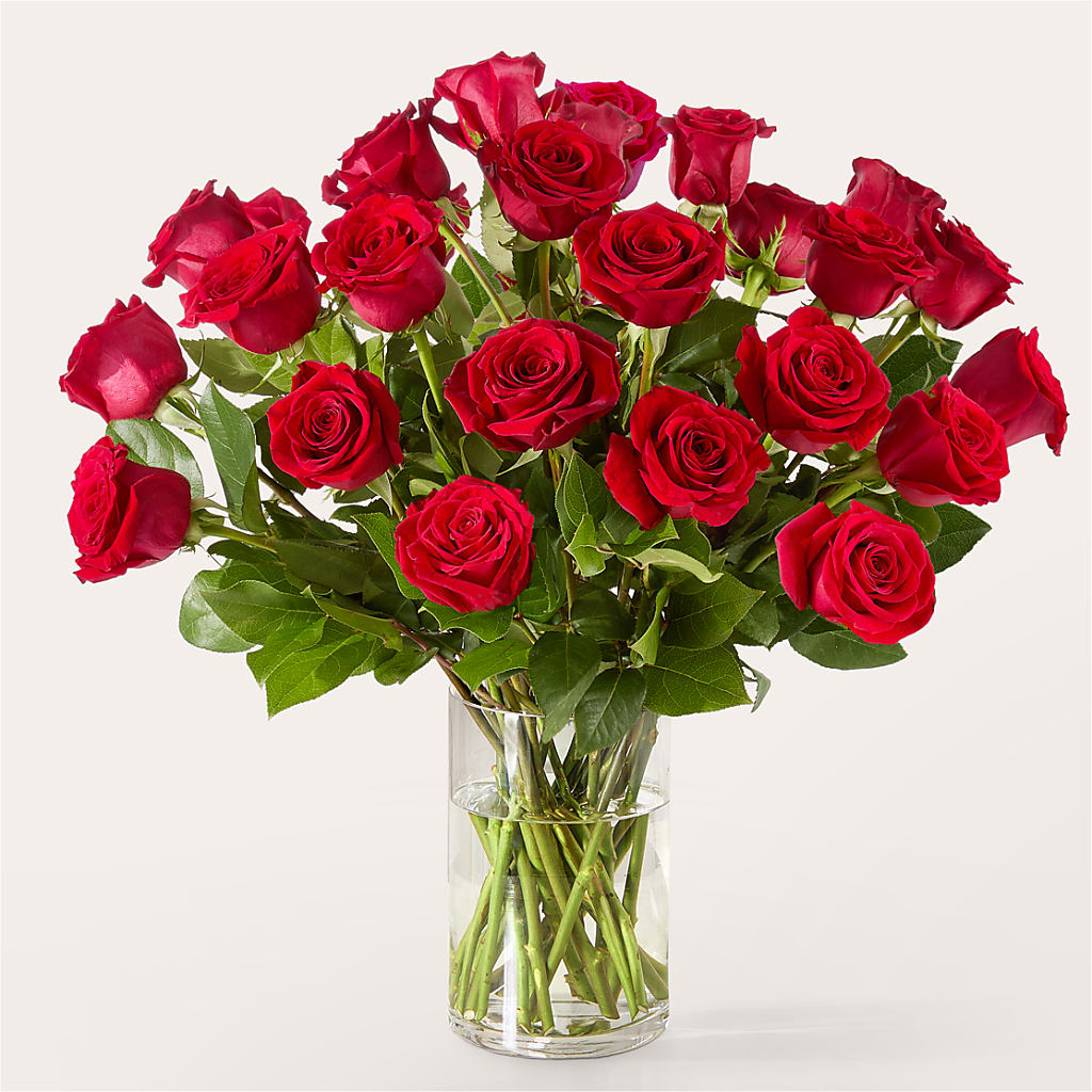 The One Red Rose Bouquet –  Kay Penny Florist, Hamilton ON