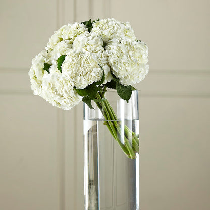 White Hydrangea Hand-Tied Bouquet –  Kay Penny Florist, Hamilton ON