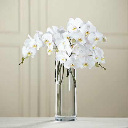 White Phalaenopsis Bouquet –  Kay Penny Florist, Hamilton ON
