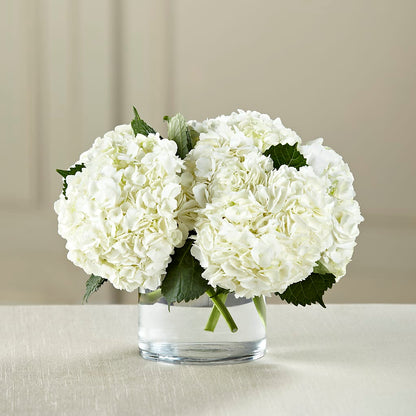 White Hydrangea Bouquet –  Kay Penny Florist, Hamilton ON